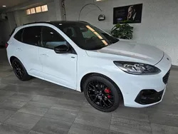 Blanco Usado 2024 Ford Kuga ST-Line X SUV | 22.995 € (Super precio)