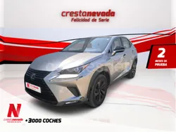 Gris / plata Usado 2019 Lexus NX300h Sport Line SUV | 34.990 € (Precio justo)