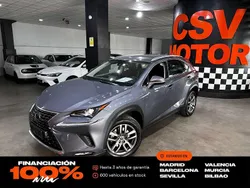 Gris Usado 2021 Lexus NX300h Business Edition SUV | 28.850 € (Precio justo)