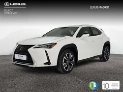 Blanco Usado 2021 Lexus UX 250h SUV | 24.990 € (Un poco caro)