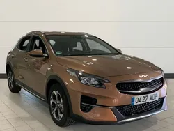 Amarillo Usado 2023 Kia XCeed SUV | 22.000 € (Un poco caro)