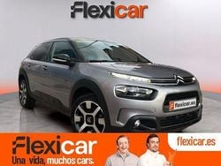 Gris Usado 2019 Citroën C4 Cactus Feel Utilitario | 12.990 € (Un poco caro)