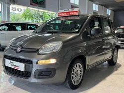 Gris / plata Usado 2022 Fiat Panda Utilitario | 11.490 € (Un poco caro)