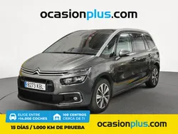 Gris Usado 2017 Citroën C4 Feel Monovolumen | 14.800 € (Un poco caro)
