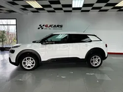 Blanco Usado 2019 Citroën C4 Cactus Feel Utilitario | 11.900 € (Precio justo)