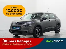 Blanco Usado 2019 Citroën C4 Cactus Feel Utilitario | 13.990 € (Caro)