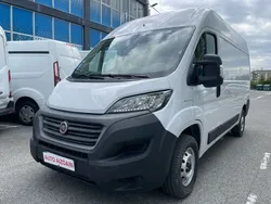 Blanco Usado 2020 Fiat Ducato Van | 21.500 € (Caro)