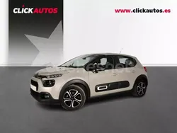 Beige Usado 2024 Citroën C3 Utilitario | 16.050 € (Un poco caro)