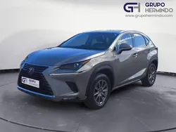 Gris Usado 2019 Lexus NX300h Business Edition SUV | 25.885 € (Precio justo)