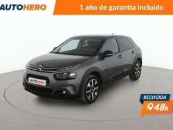 Gris Usado 2020 Citroën C4 Cactus PureTech Utilitario | 12.570 € (Buen precio)