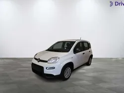 Blanco Nuevo 2024 Fiat Panda Utilitario | 10.950 € (Super precio)