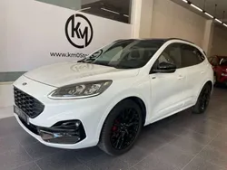 Blanco Usado 2023 Ford Kuga ST-Line X SUV | 30.490 € (Caro)