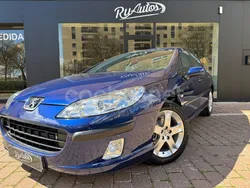 Azul Usado 2004 Peugeot 407 Berlina | 5999 € (Caro)