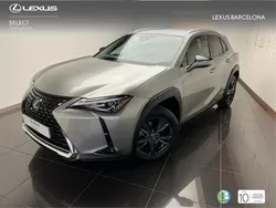 Gris / plata Usado 2020 Lexus UX Business Edition SUV | 24.500 € (Buen precio)