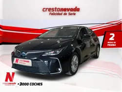 Usado 2021 Toyota Corolla Business Edition Berlina | 20.551 € (Precio justo)