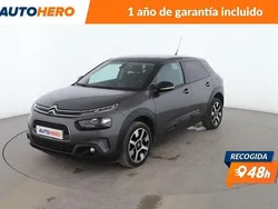 Gris Usado 2019 Citroën C4 Cactus PureTech Utilitario | 11.999 € (Precio justo)