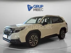 Blanco Usado 2024 Subaru Forester SUV | 42.500 €