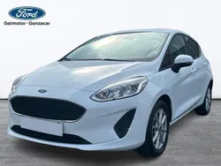 Frozen wh Usado 2021 Ford Fiesta Limited Utilitario | 14.500 € (Caro)