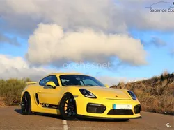 Amarillo Usado 2016 Porsche Cayman GT4 Coupe | 94.981 € (Un poco caro)