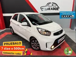 Blanco Usado 2015 Kia Picanto Utilitario | 8499 € (Un poco caro)