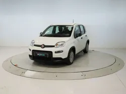Blanco Usado 2024 Fiat Panda Utilitario | 12.825 € (Un poco caro)