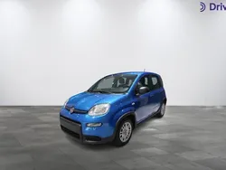 Azul Nuevo 2025 Fiat Panda Utilitario | 14.250 € (Precio justo)