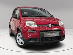 Granate Usado 2024 Fiat Panda Urban Utilitario | 11.490 € (Precio justo)