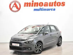 Gris Usado 2019 Citroën C4 Shine Utilitario | 13.890 € (Un poco caro)