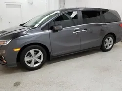 Gris Usado 2018 Honda Odyssey EX Monovolumen | 58.600 €