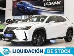 Blanco Usado 2023 Lexus UX 250h Business Edition SUV | 29.990 € (Precio justo)