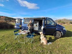 Azul Usado 2007 VW Caravelle Monovolumen | 20.500 € (Un poco caro)