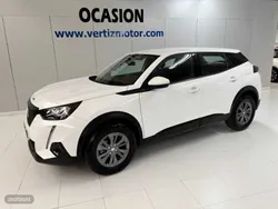 Blanco Usado 2020 Peugeot 2008 Active SUV | 15.900 € (Un poco caro)