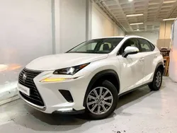Blanco Usado 2020 Lexus NX300h Business Edition SUV | 29.990 € (Precio justo)