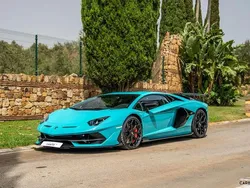 Azul Usado 2019 Lamborghini Aventador Coupe | 590.000 €