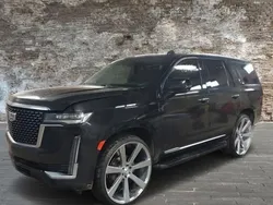 Negro Usado 2019 Cadillac Escalade SUV | 80.500 €