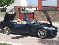Jaguar XK