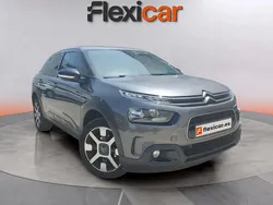 Gris Usado 2019 Citroën C4 Cactus Feel Utilitario | 11.490 € (Precio justo)