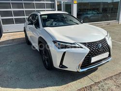 Blanco Usado 2024 Lexus UX SUV | 36.200 €