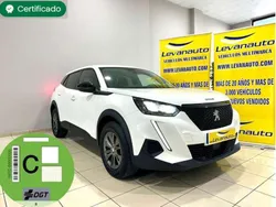 Blanco Usado 2020 Peugeot 2008 Active SUV | 19.800 € (Caro)