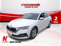 Usado 2022 Skoda Octavia Ambition | 21.485 € (Precio justo)