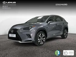 Gris Usado 2021 Lexus NX300h SUV | 36.990 € (Un poco caro)
