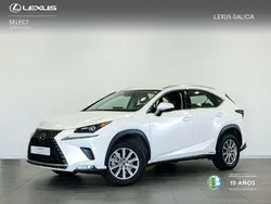 Blanco Usado 2019 Lexus NX300h Business Edition SUV | 29.450 € (Precio justo)