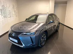 Gris / plata Usado 2019 Lexus UX Executive Line SUV | 25.300 € (Precio justo)