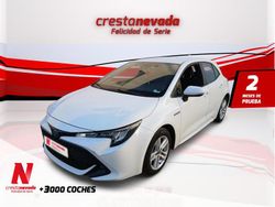 Usado 2020 Toyota Corolla Business Edition Berlina | 18.682 € (Un poco caro)
