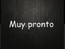 Marrón Usado 2005 Seat Ibiza Sport Berlina | 3999 € (Un poco caro)