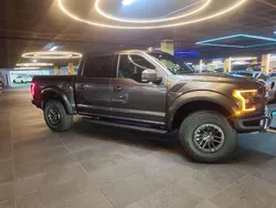 Gris Usado 2020 Ford F-150 Raptor Recogida | 99.500 €