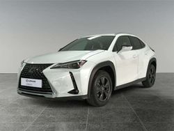 Usado 2024 Lexus UX SUV | 36.990 € (Caro)
