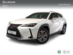 Blanco Nuevo 2024 Lexus UX 300e SUV | 41.900 €