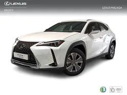 Blanco Nuevo 2024 Lexus UX 300e SUV | 41.900 € (Un poco caro)