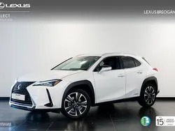 Blanco Usado 2020 Lexus UX 250h Executive Line SUV | 29.900 €